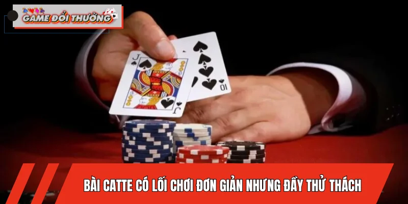 bai-catte-co-loi-choi-don-gian-nhung-day-thu-thach