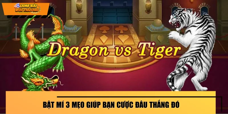 bat-mi-3-meo-giup-ban-cuoc-dau-thang-do