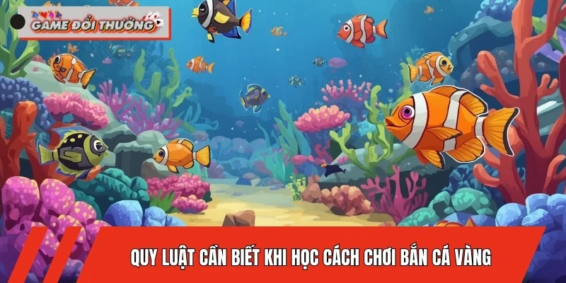 cach-choi-ban-ca-vang-doi-thuong-3-quy-luat-can-biet