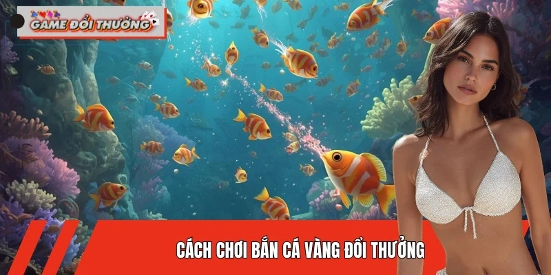 cach-choi-ban-ca-vang-doi-thuong