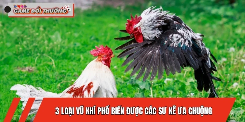 cach-chon-cua-cho-ga-choi-3-loai-vu-khi-pho-bien-duoc-cac-su-ke-ua-chuong