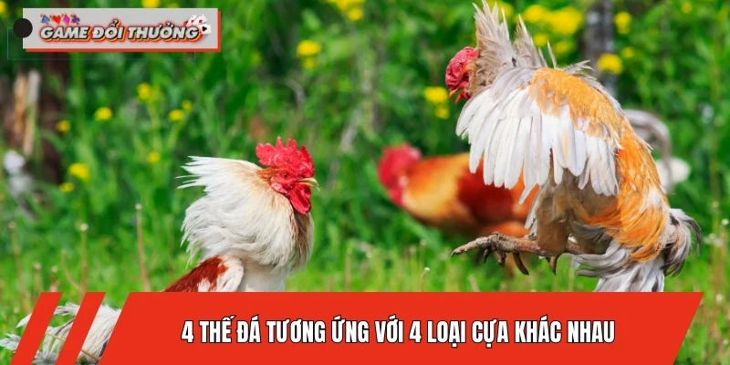 cach-chon-cua-cho-ga-choi-4-the-da-tuong-ung-voi-4-loai-cua-khac-nhau