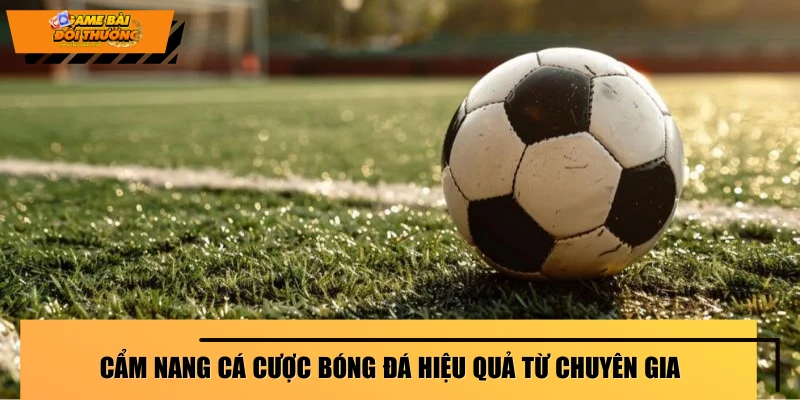 cam-nang-ca-cuoc-bong-da-hieu-qua-tu-chuyen-gia