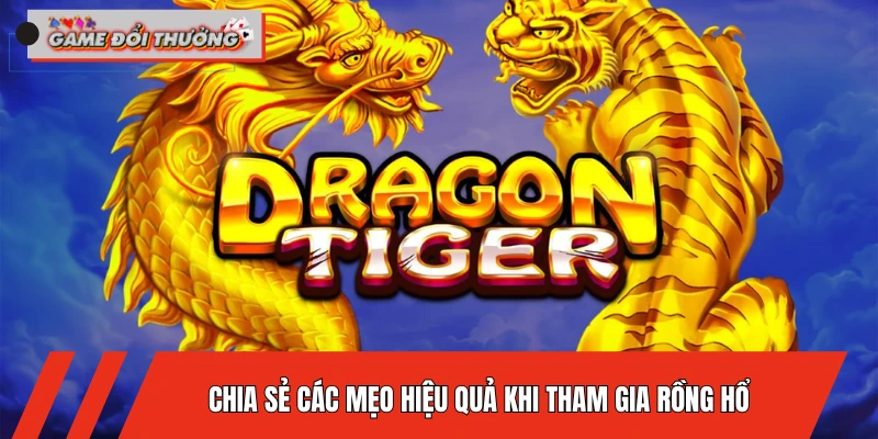 chia-se-cac-meo-hieu-qua-khi-tham-gia-rong-ho