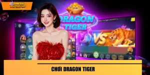 Chơi Dragon Tiger - Giải Trí Hấp Dẫn, Đánh Là Thắng