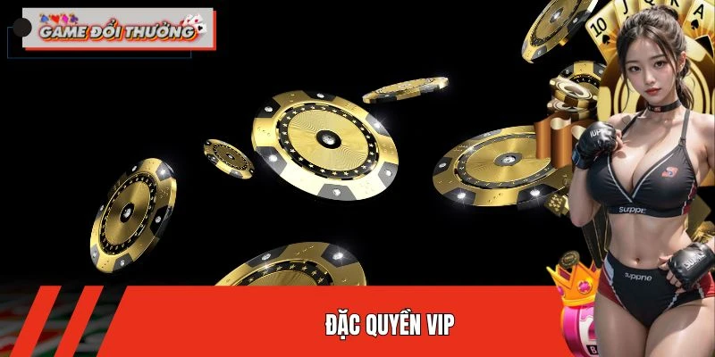 dac-quyen-vip-thumb