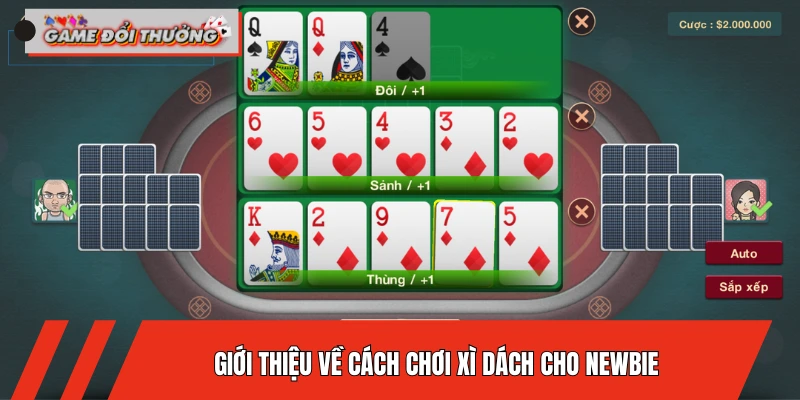 gioi-thieu-ve-cach-choi-xi-dach-cho-newbie