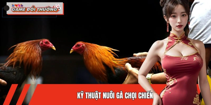 ky-thuat-nuoi-ga-choi-chien-thumb