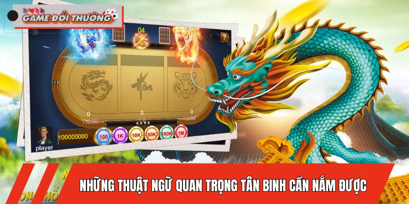 nhung-thuat-ngu-quan-trong-tan-binh-can-nam-duoc