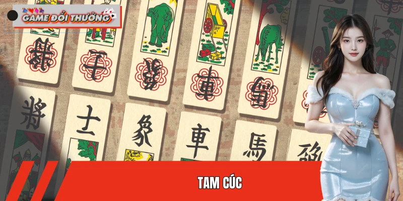 tam-cuc
