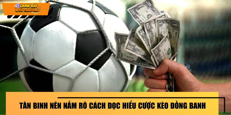 tan-binh-nen-nam-ro-cach-doc-hieu-cuoc-keo-dong-banh