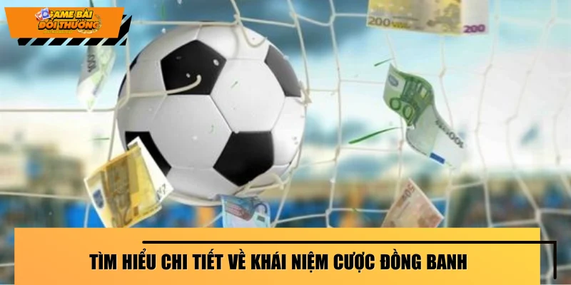 tim-hieu-chi-tiet-ve-khai-niem-cuoc-dong-banh