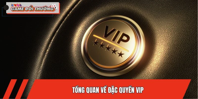 tong-quan-ve-dac-quyen-vip
